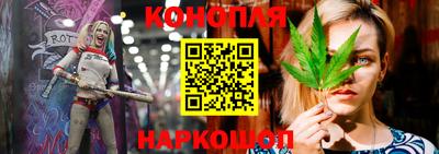 a pvp Гагарин