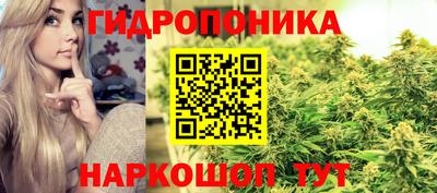 a pvp Гагарин