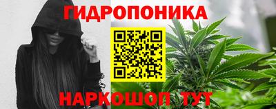 эйфоретик Гай