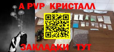 эйфоретик Гай