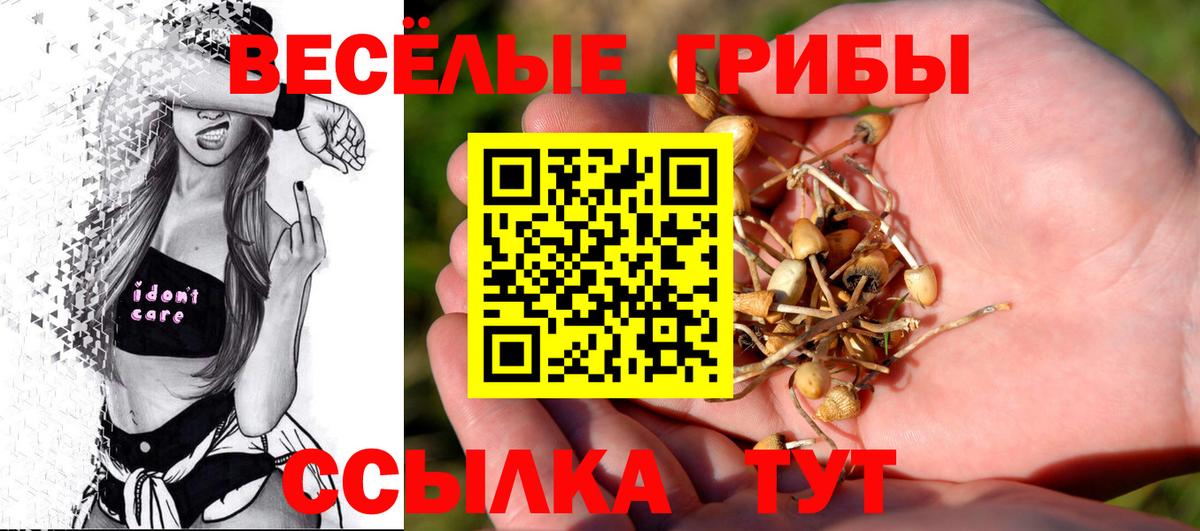 Галлюциногенные грибы Cubensis Ишим